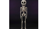 Hanging Skeleton Portable Skeleton with Movable Joints Durable