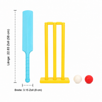 Cricket Set for Kids 7-14 Years, 58x8cm Complete Ball Game Set made of PP, for Indoor and Outdoor, with Bat, Stumps and Balls