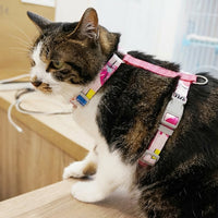 Cat Harness and Leash Walking Set, Chocolate Bear Harness XS Set with Kitten Harness, X-shaped Soft Mesh Polyester for Outdoor Walking Control