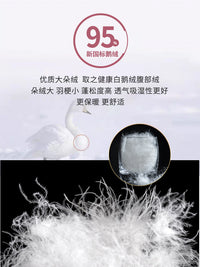 雪中飞羽绒裤女外穿时尚2025新款冬季加厚保暖小脚大码白鹅绒棉裤