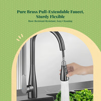 Brass pull-down faucet with sprayer