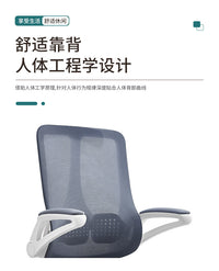 联强工厂电脑椅家用办公椅透气座椅人体工学椅舒适久坐书房椅子