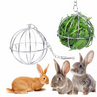 Stainless Steel Hay Feeder Ball for Rabbits, Guinea Pigs, and Hamsters