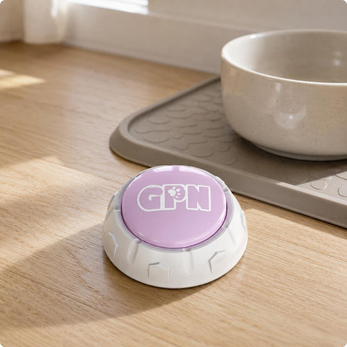 Recording Speech Button White Base Dog Communication Buttons Portable
