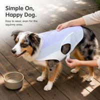 Pet Cooling Vest for Dogs, Breathable Sun Protection Summer Shirt for Small to Large Breeds