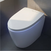 Instant Heating Smart Bidet Toilet Multi-Function Bidet Toilet Seat Multiple Cleaning Modes Handheld Controller Control