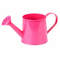 Metal Watering Can Outdoor Watering Can with Long Spout Indoor for Gardeners