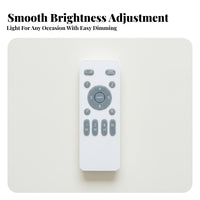 Ceiling Fan Controller Slim Design Fan Light Controller Control