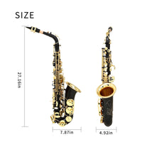 Hand Carved Engravings Eb Alto Saxophone Rich Tone Alto Saxophone Long-Lasting Brass Body for Beginners