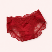 Women's Underwear with Gusset and Lace Trim, High Leg Knickers for Everyday Comfort, Plus Size Lingerie