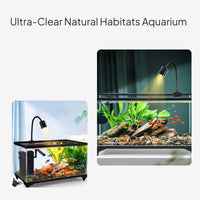 Crystal Clear Glass Desktop Aquatic Habitat with Filtration