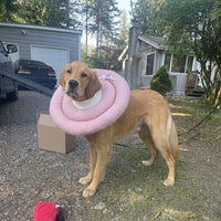Soft Cone for pets, Quilted material with Drawstring, Soft Pet Recovery to Prevent Licking After Surgery and Anti Bite