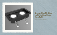 Adjustable double LED downlight