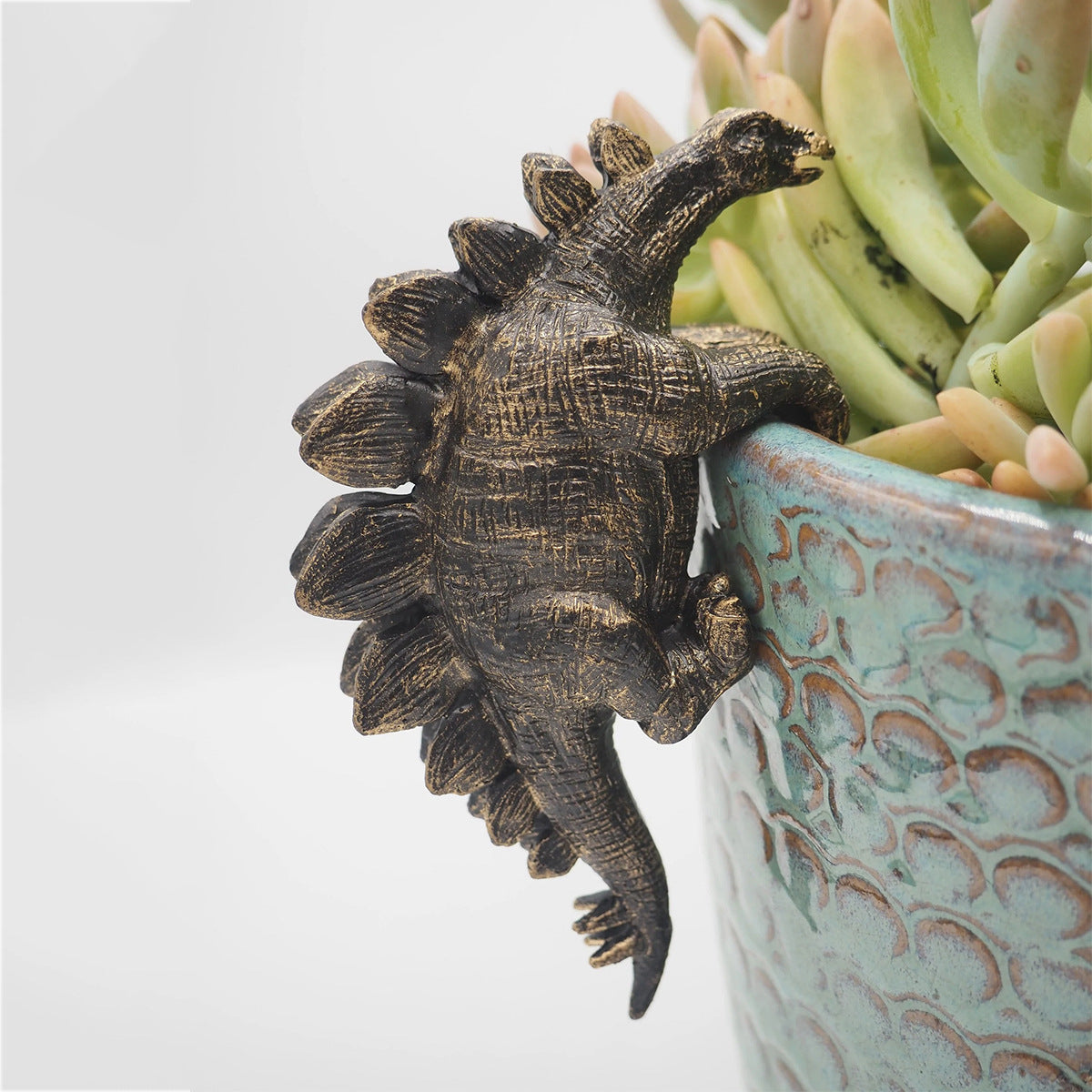 Stegosaurus