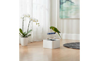 Parrot Potty Training Stand Space-Saving Design for Indoor
