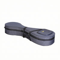Chinese lute Carrying Case Lightweight Chinese lute Case Padded for Rehearsals