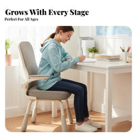 Adjustable Ergonomic academic Seat Stable Base Student Desk Chair for Study Room