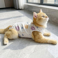 Recovery Suit for Male Cat Neutering, Breathable Anti-Licking Cat Suit, Post-Surgery Cat Suit for Spring and Autumn, Soft Guarding Pet Bodysuit