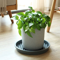 Plant Trays and Drip Tray for Outdoor Plants, Heavy Duty Tempered Plastic Plant Pot Saucers, Balcony Garden Indoor Plant Saucer, Round Tea Brown