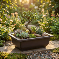 Plant Pots for House Plants and Indoor Plants, Rectangular Indoor Plant Pot with Saucer, Clay Style Flower Pots and Bonsai Pot, Small Plant Pot