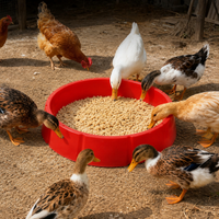 Chicken Feeding Trough, Large Plastic Round Feeder, Chick Feeder, Poultry Feeding Tool