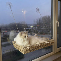 Window Cat Perch and Cat Hammock, Handwoven Rattan Cat Bed with Strong Suction Cups, Folding Storage Suction Cup Cat Bed for Indoor Sunbathing