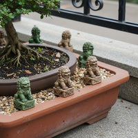 20 Pieces Miniature Foo Dog Statue for Desktop Display