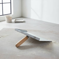 Stainless Steel with Wooden Handle Rust-Resistant Hand Tool Professional