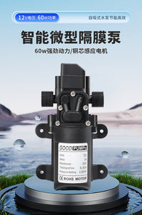 12V 60W Self-Priming Water Pump Diaphragm Pump Household Water Pump Spray Irrigation Sprinkler Return Pump 4-Point Agricultural Pump