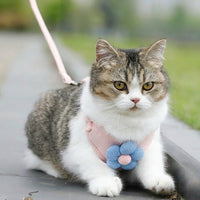 Cat Harness and Dog Leash Set with Flower Applique, 180cm Non-Retractable Dog Harness and Cat Leash for Small Cats or Dogs Outdoor Walking