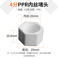 PPR Water Pipe End Cap Plug Fitting for Home Use - External and Internal Thread Options