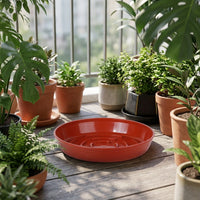 Plant Saucers and Drip Tray Set, Round Trays with Drainage Grooves, Plant Trays for Indoor or Outdoor Plants