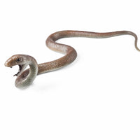 Animal Figurine Detailed Animal Model Display Ornament Realistic Figurines Sculpted for Students, Home Decoration, Classroom