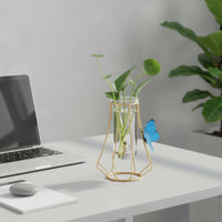 Water-Based Glass Vase Minimalist Design Wrought Iron Glass Planter Visible Underground Part Growth Tabletop Water-Based Vase for Beginners