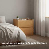 Two-Drawer Nightstand Nordic Design Bedside Cabinet Minimalist aesthetic for Adults