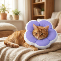 Soft Pet Cone with Drawstring, Cushioned Padded Dog Cone and Cat Cone with Adjustable Strap, Soft Material for Cat Recovery and to Stop Licking