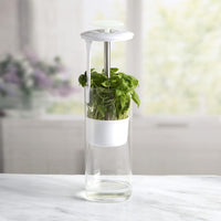 Plastic Herb Keeper for Freshness