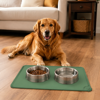 pet feeding mat
