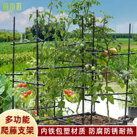 Multifunctional Garden Trellis for Climbing Plants Outdoor Support