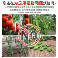 Multifunctional Garden Trellis for Climbing Plants Outdoor Support