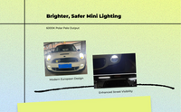 Mini F55-F61 LED Fog 6000K Xenon