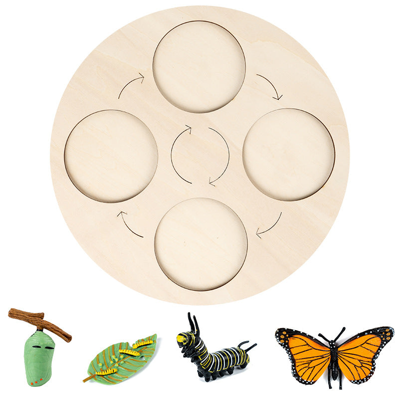 4-grid Butterfly