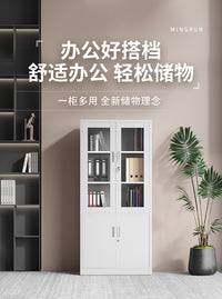 办公室文件柜钢制档案资料柜储物收纳柜铁皮柜子财务室凭证柜带锁