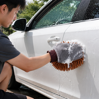 car wash mitt