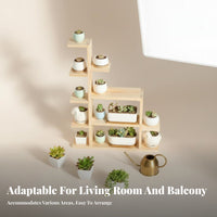 Multi-Tier Succulent Rack Staggered Levels Plant Stand Sturdy Construction