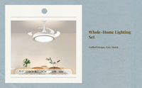 LED acrylic ceiling light