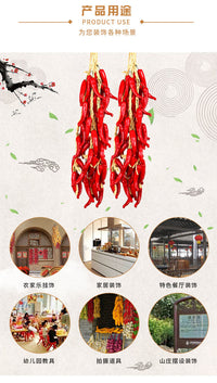 秉诚仿真辣椒大蒜玉米土豆花生蔬菜串农家乐饭店庭院装饰挂串