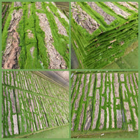 Artificial Bark Pipe Cover for Indoor/Outdoor Decoration