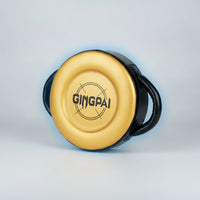 Kick Pad with Handles Double-Sided Boxing tool Padded Punching Pad for Coaches, Fighting Artists, Home Gym