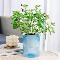 Plant Pots for House Plants and Indoor Plants, Self Watering Indoor Plant Pot with Transparent Double Layer, Creative Minimalist Flower Pots